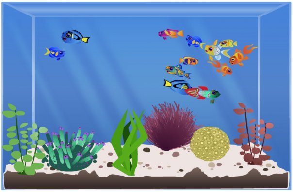 Barbara Malinowski's album, Happy Aquarium photos