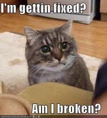 Susan Meyers' album, Timeline Photos