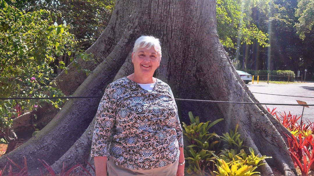 Martha Wallen's album, Mobile Uploads