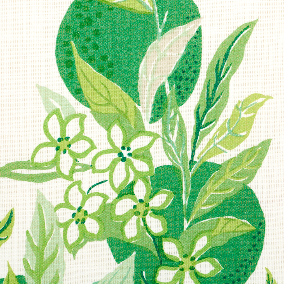 Citrus Garden Indoor/Outdoor - Leaf Fabrics | Schumacher