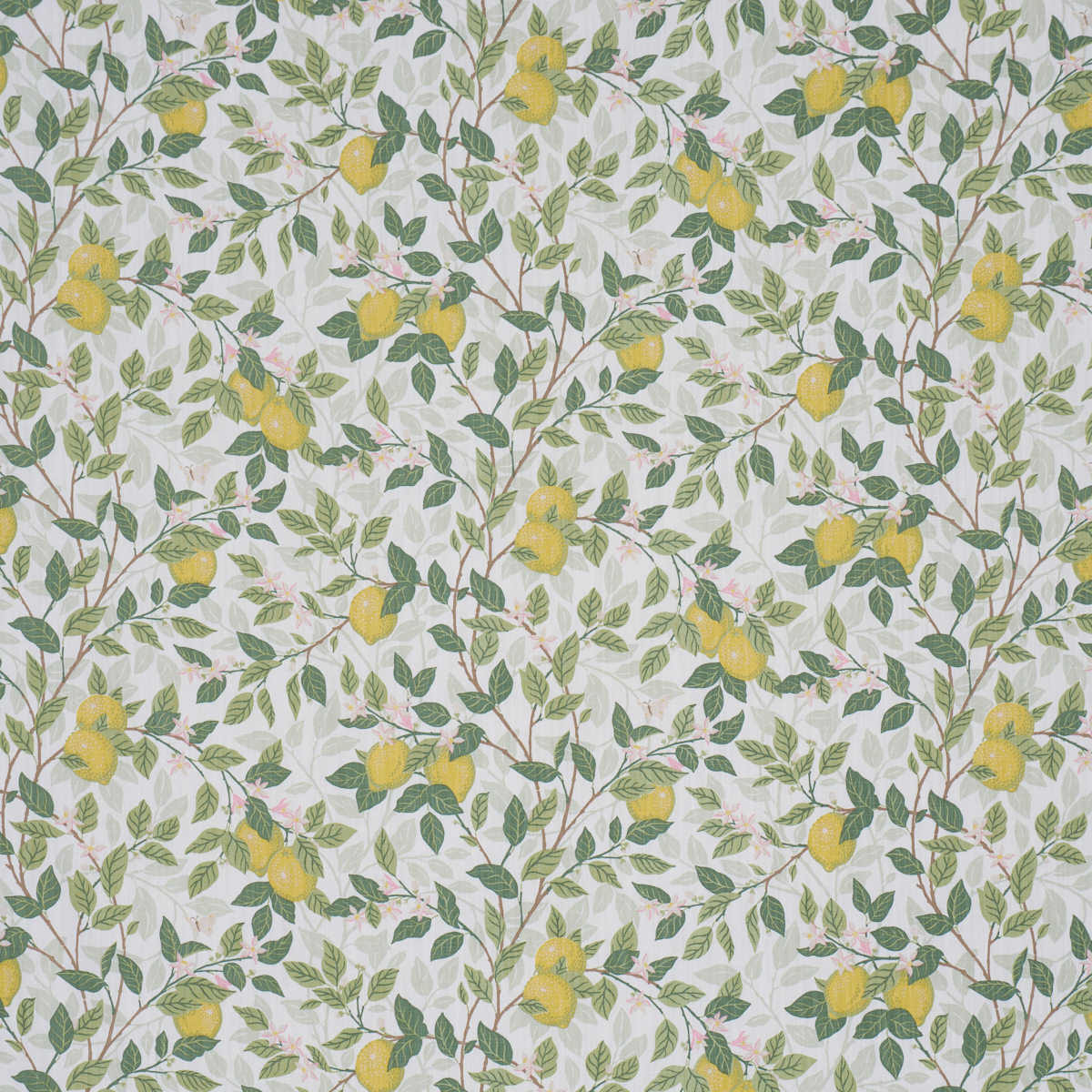 Citronträd - Ivory And Leaf Wallpapers | Schumacher
