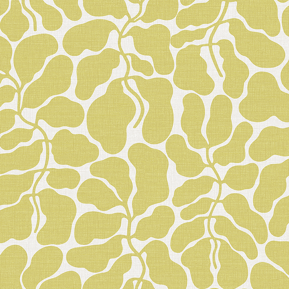 OCHRE