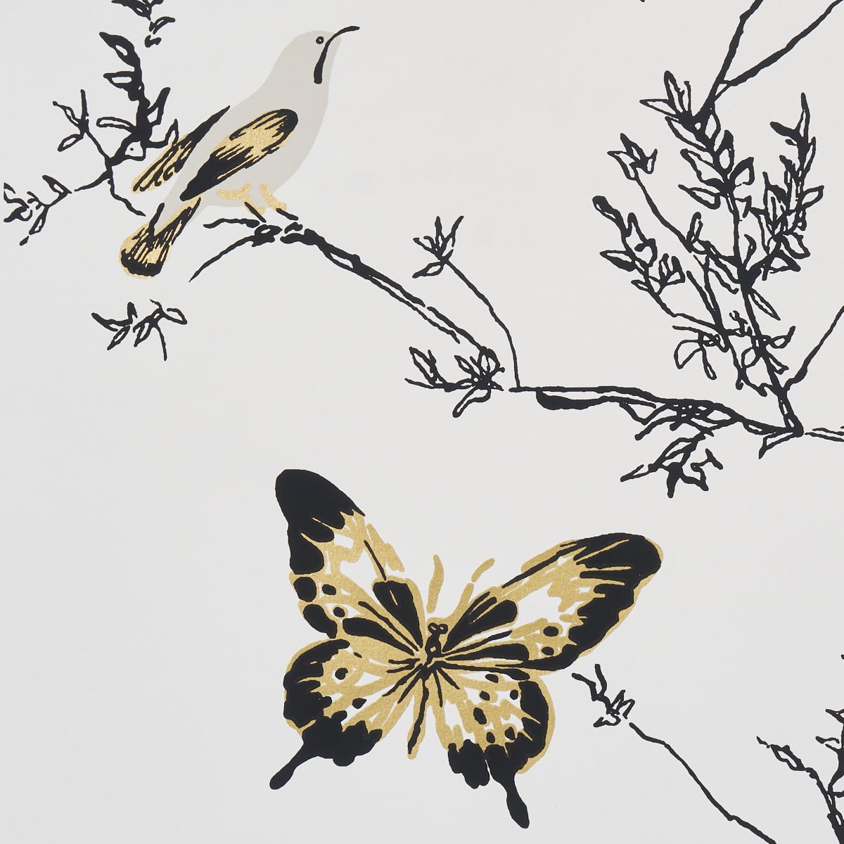 BIRDS & BUTTERFLIES gallery 2