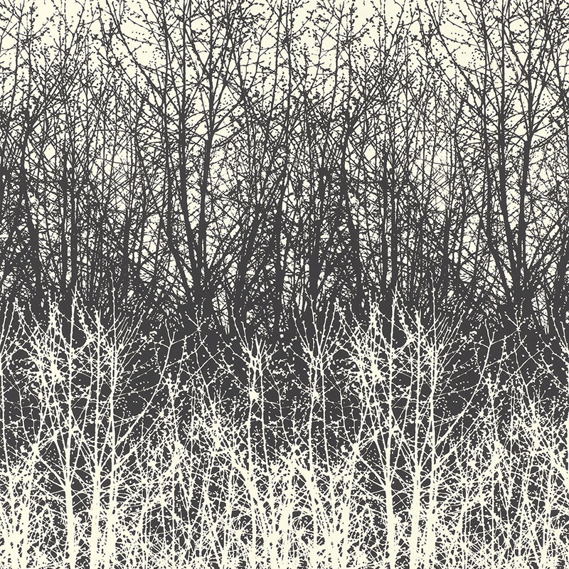 BIRCHES — BLACK/WHITE