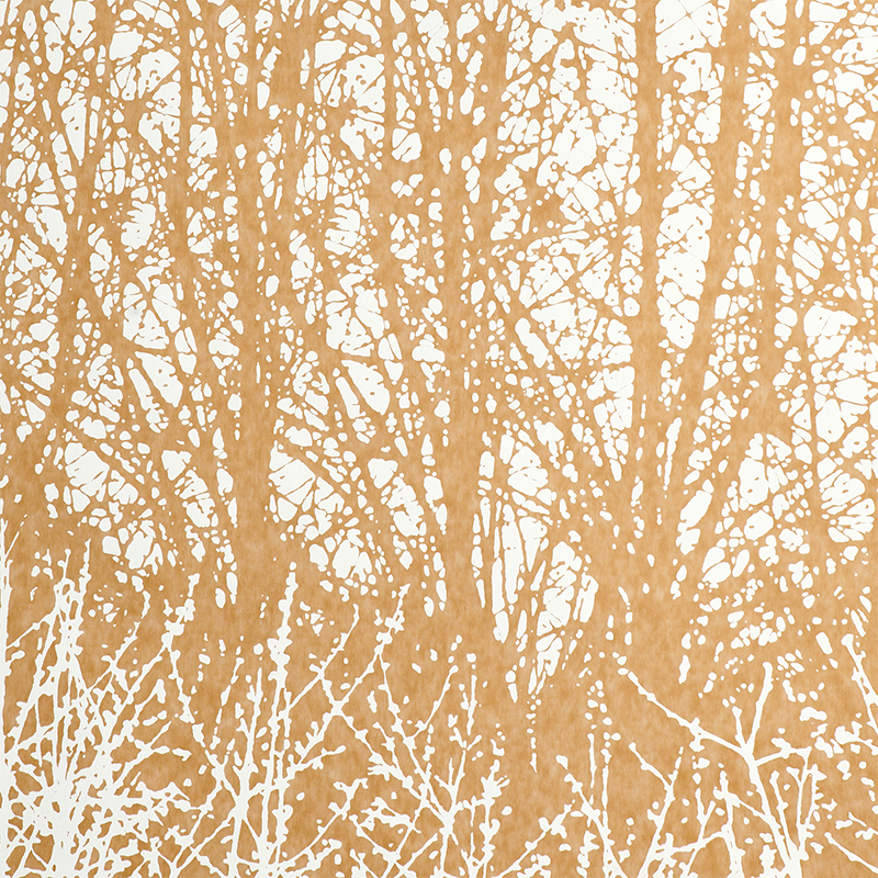 BIRCHES gallery 2