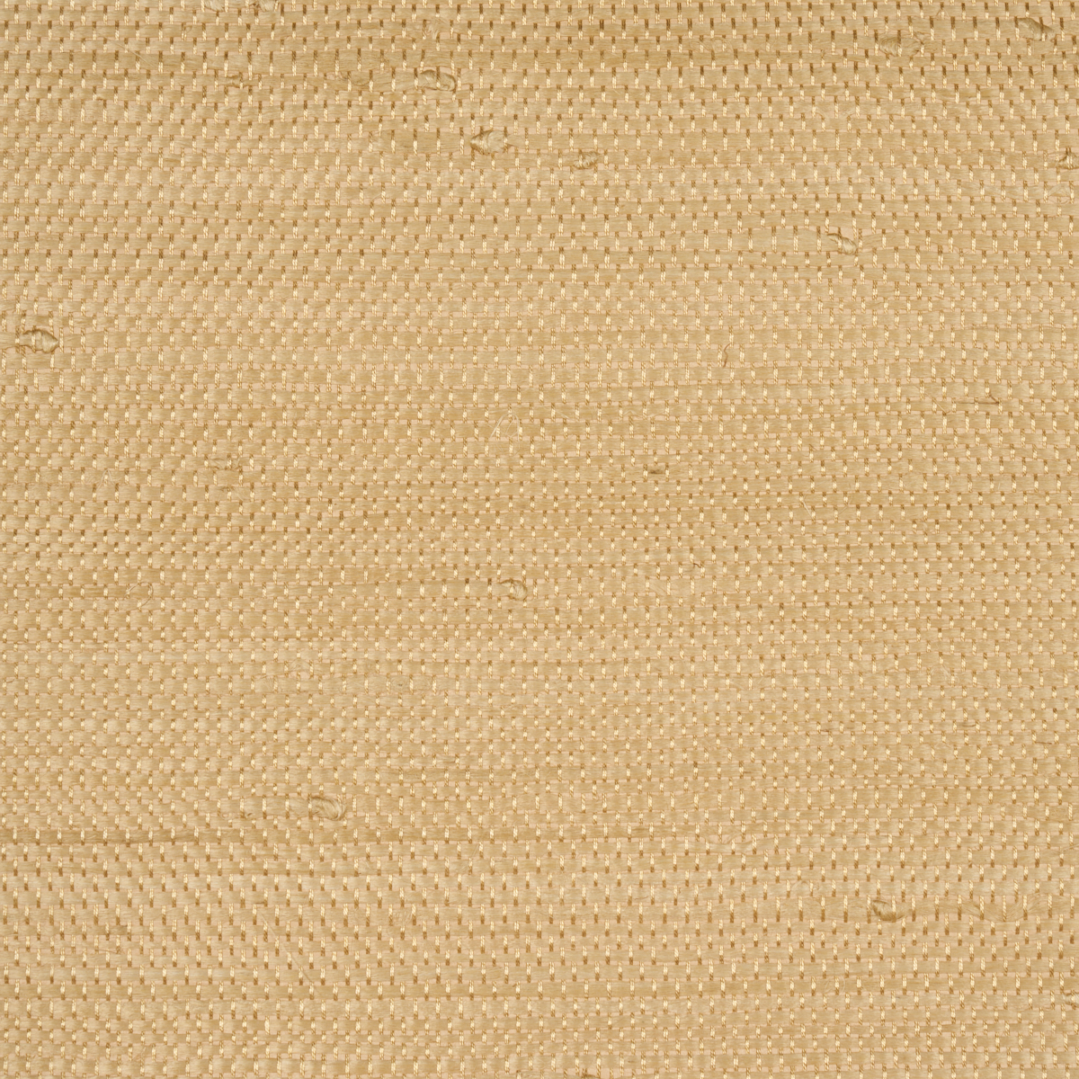 KUMANO JUTE gallery 1