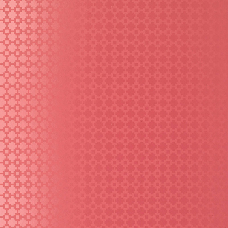 SHAKE IT UP — RASPBERRY GLOSS