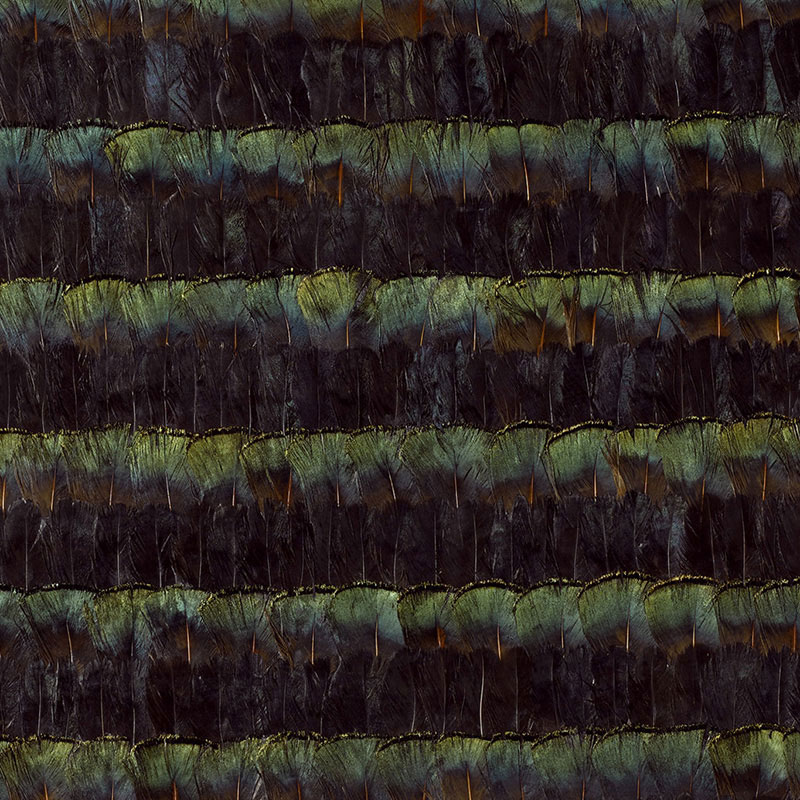 BRADBURY — MALACHITE