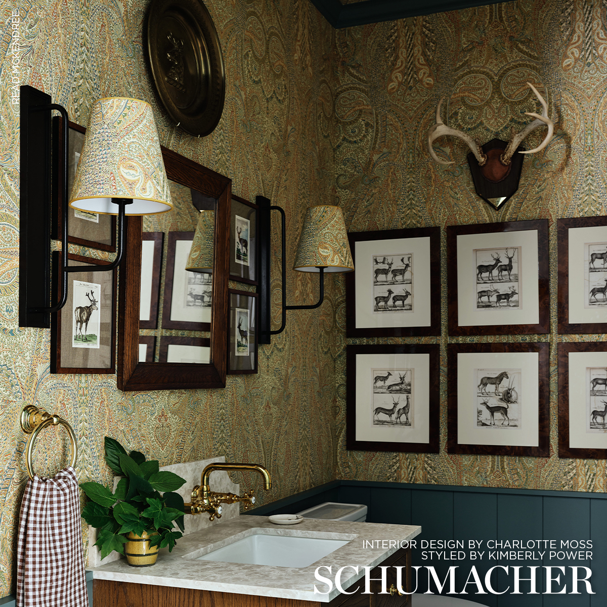 EMILE CACHEMIRE gallery 1