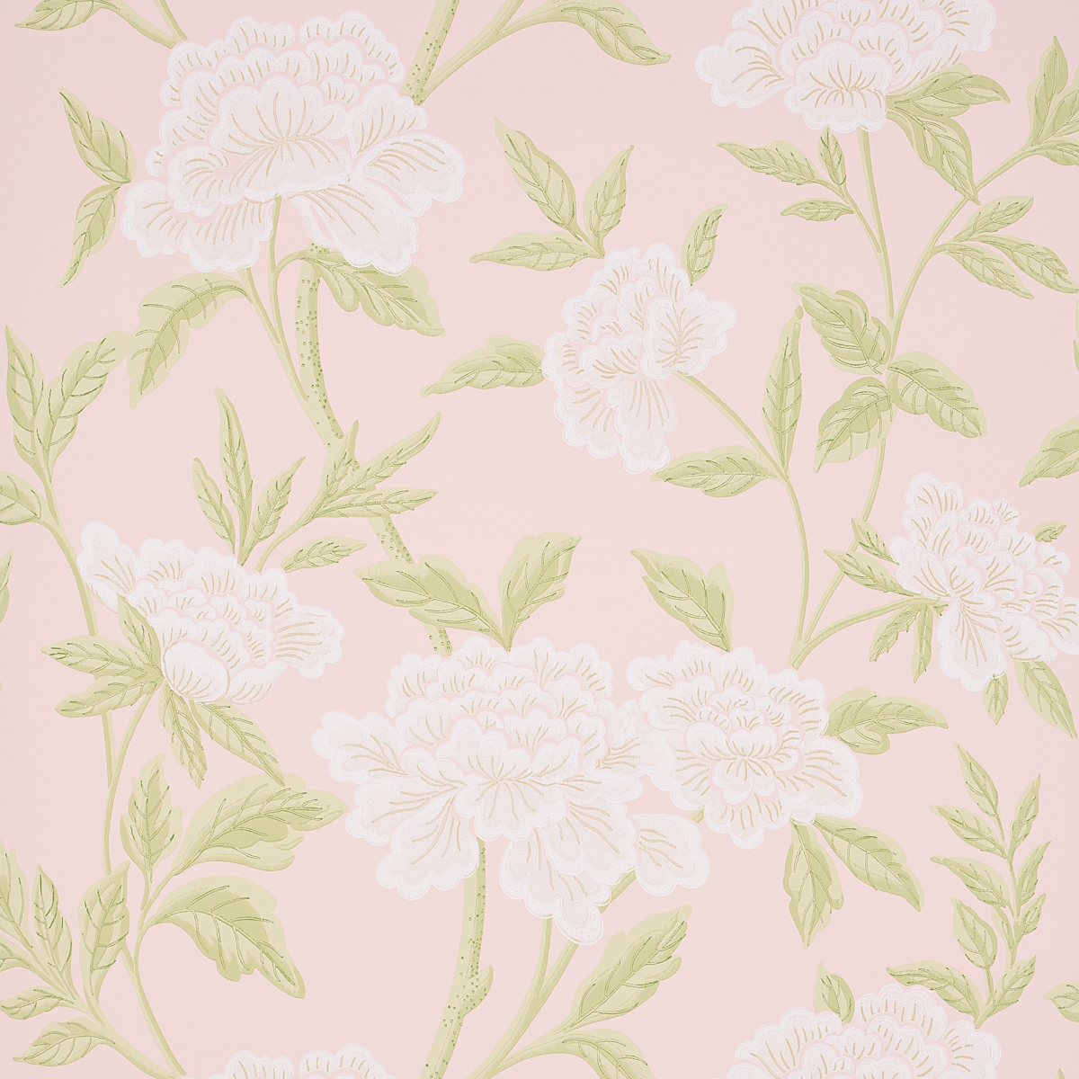 BLUSH