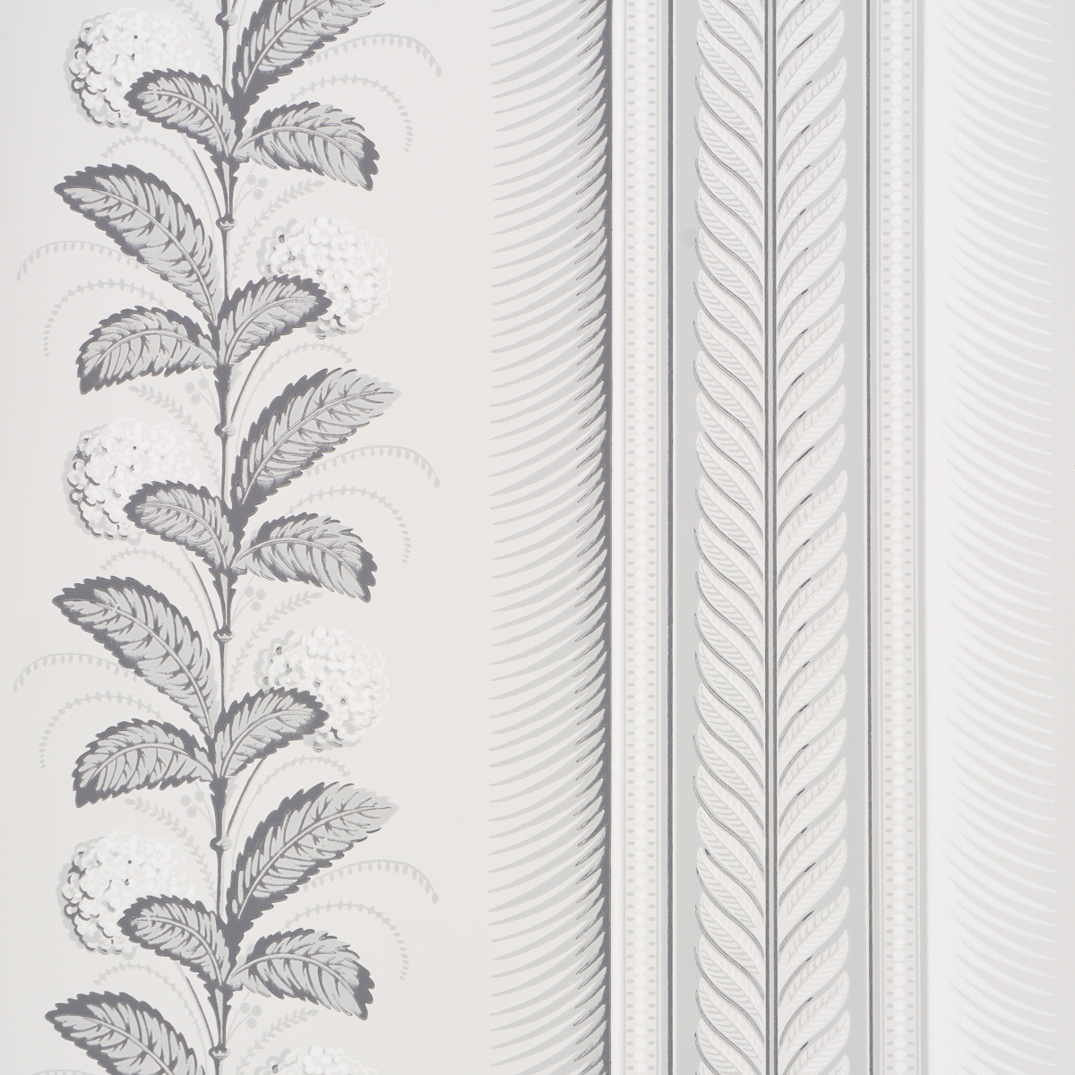 HYDRANGEA DRAPE — GRISAILLE