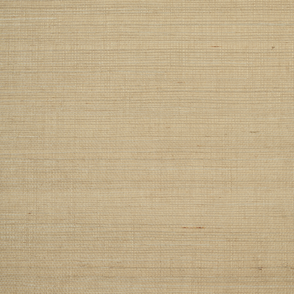 HARUKI SISAL gallery 1