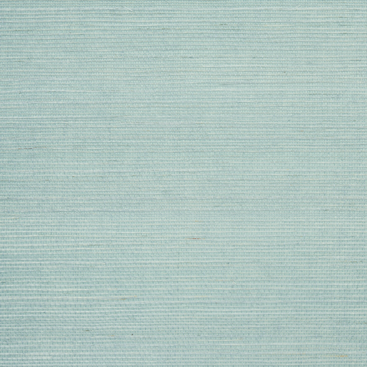 HARUKI SISAL gallery 1