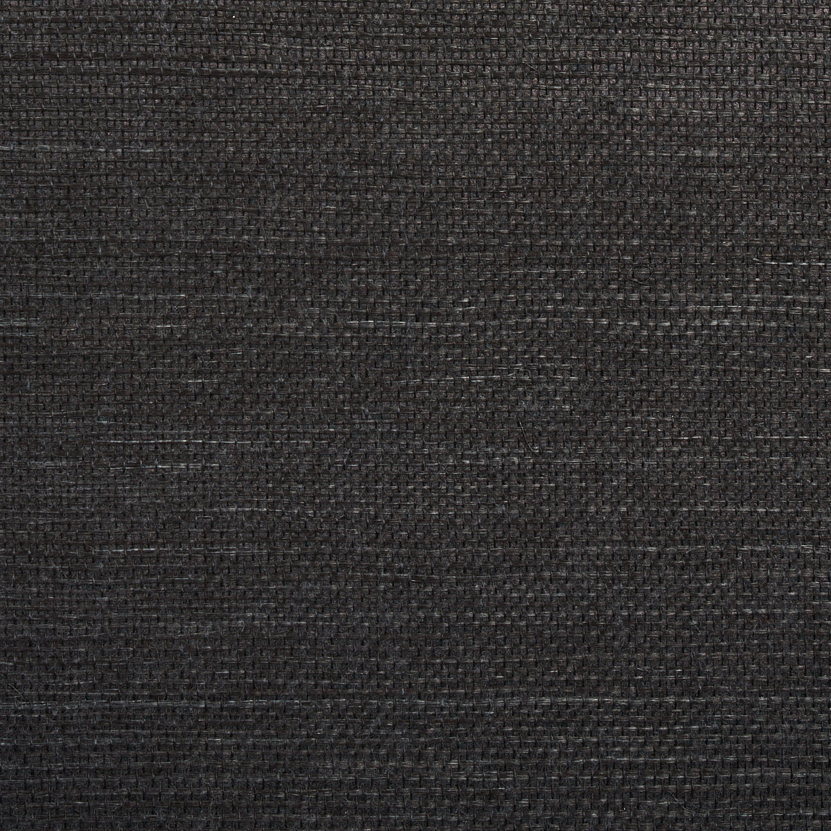 HARUKI SISAL gallery 1