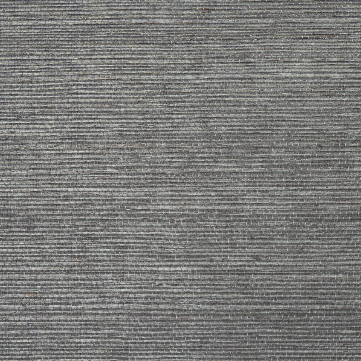 HARUKI SISAL gallery 1