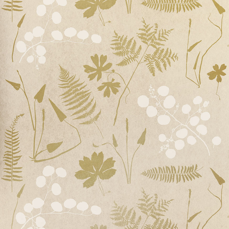 MODERN BOTANICAL — PARCHMENT