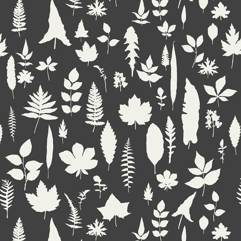 LEAVES — GRAPHITE