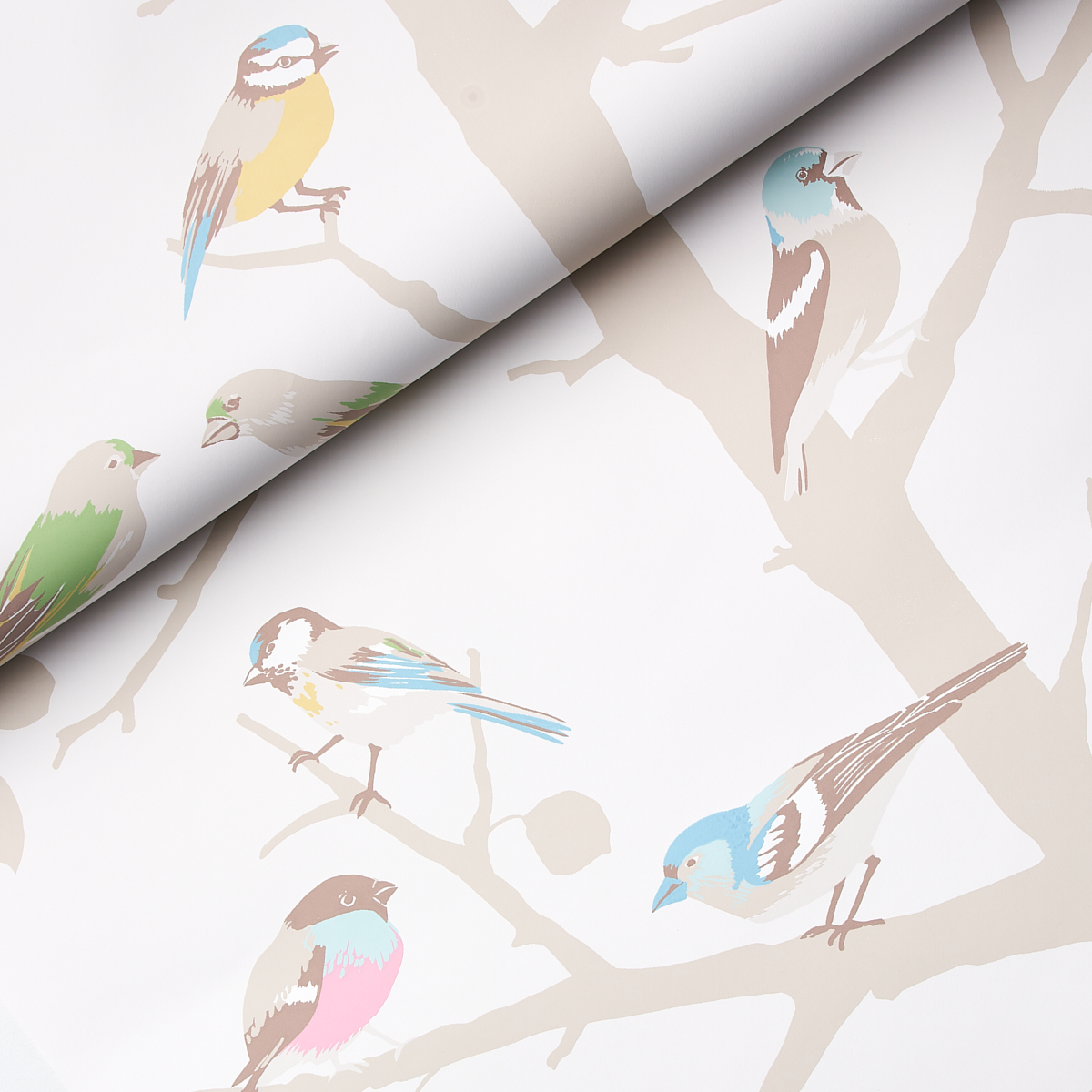 A-TWITTER gallery 3