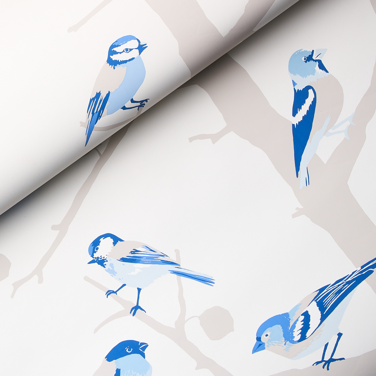 A-TWITTER gallery 3