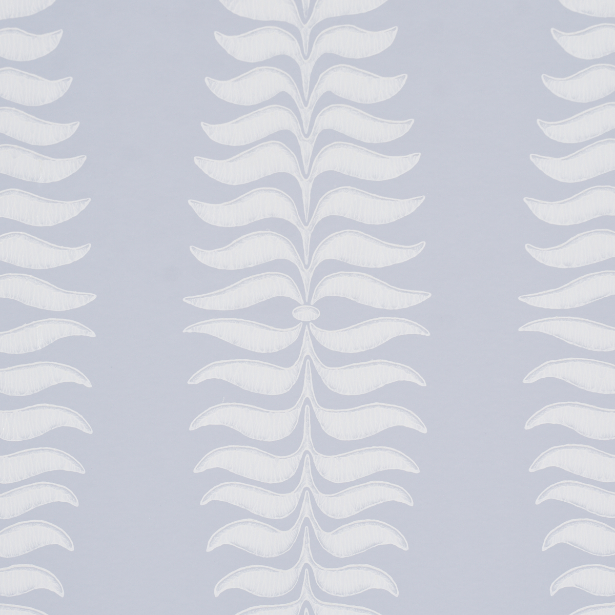 FERN TREE gallery 2