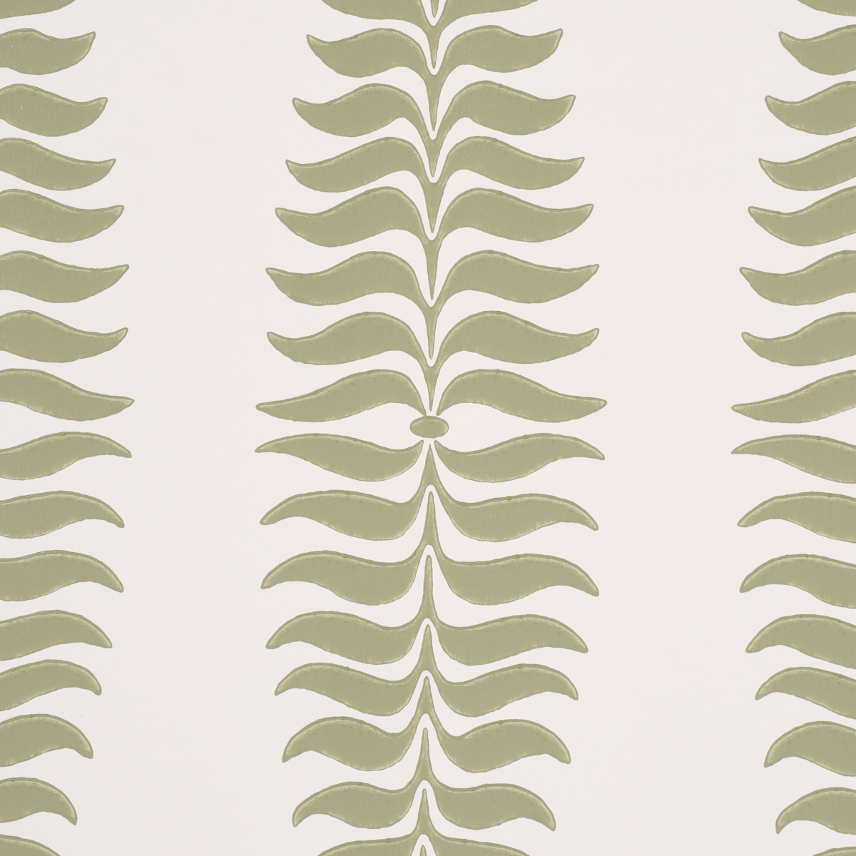 FERN TREE gallery 2