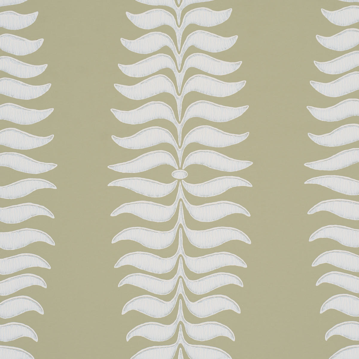 FERN TREE gallery 2