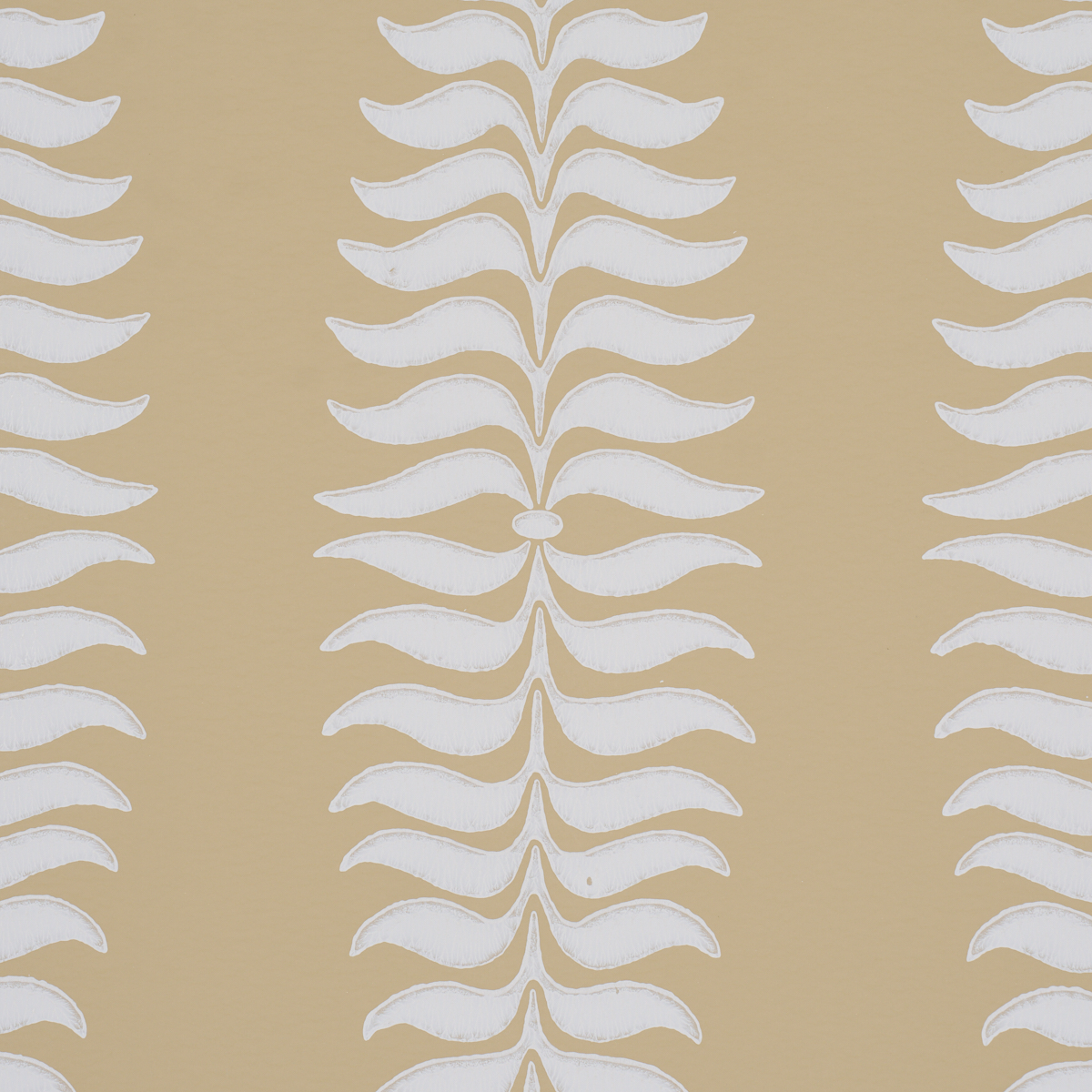 FERN TREE gallery 2