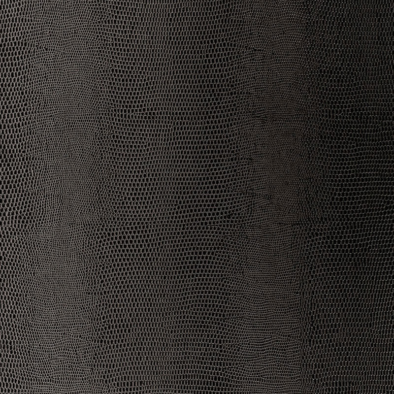 Lizard — CARBON