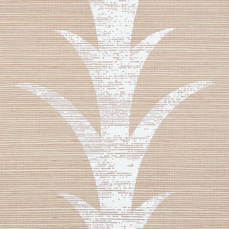 ACANTHUS STRIPE SISAL gallery 2