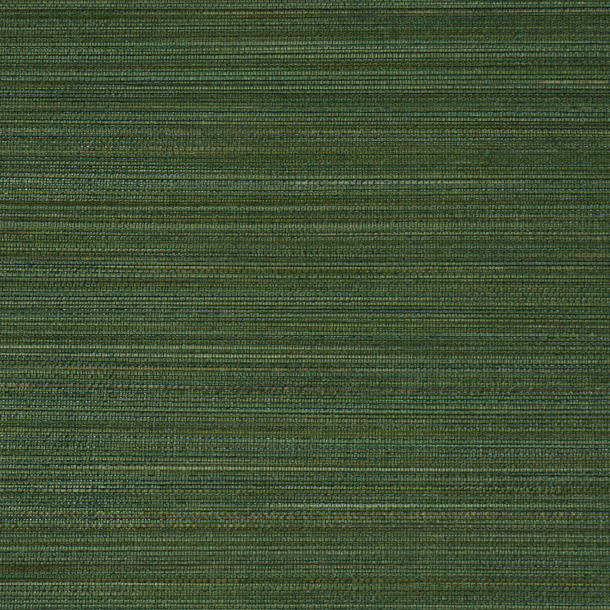 ZEN BAMBOO gallery 1