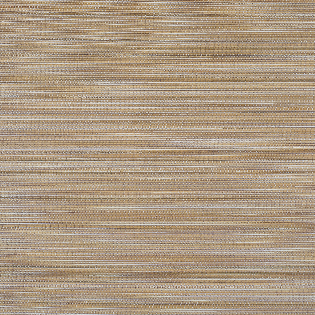 ZEN BAMBOO gallery 1