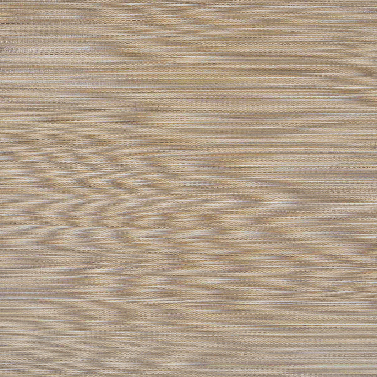 ZEN BAMBOO wallpaper in NEUTRAL