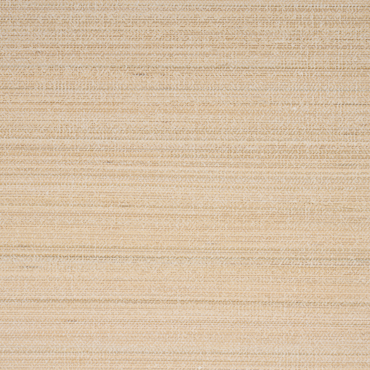 ZEN BAMBOO gallery 1