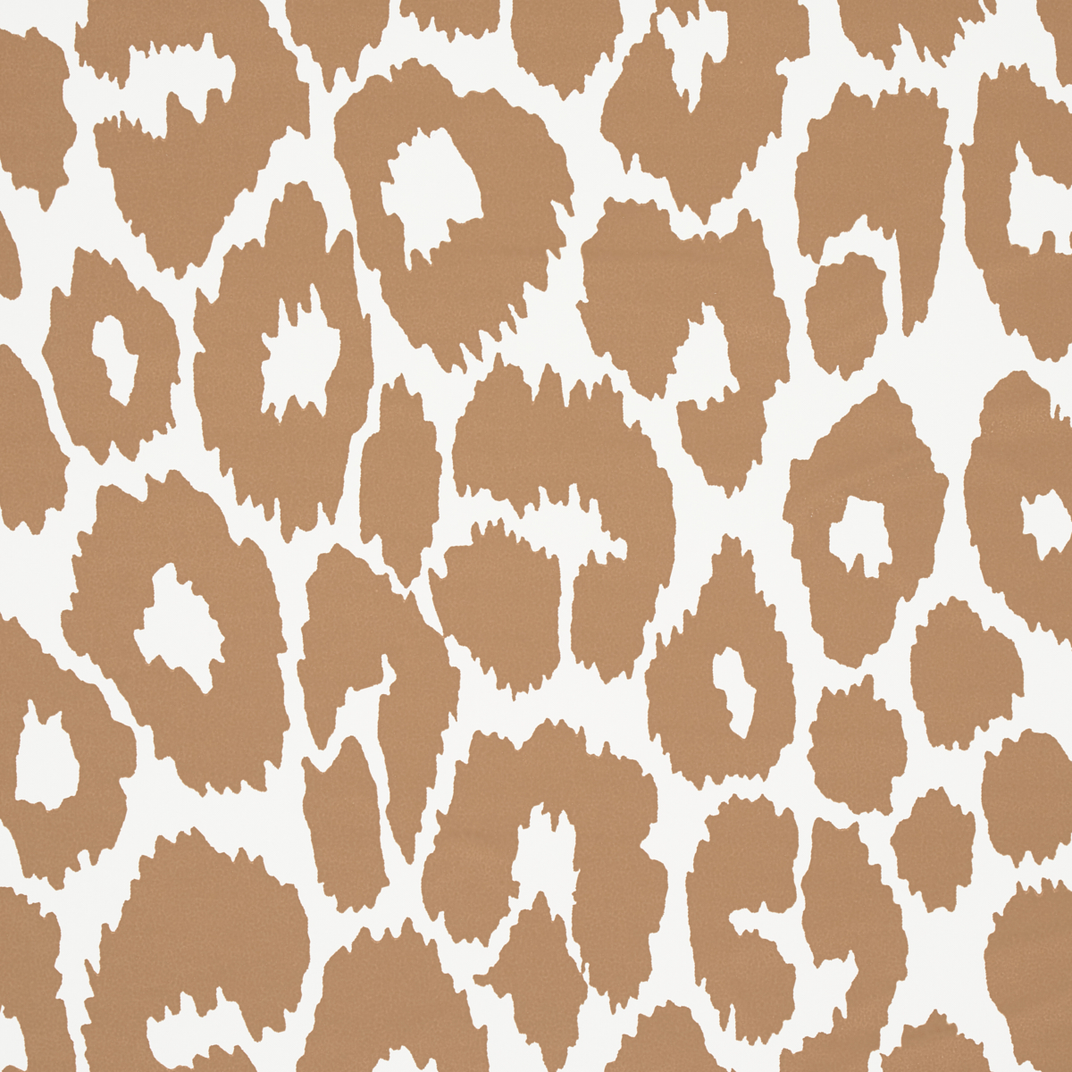 ICONIC LEOPARD gallery 2