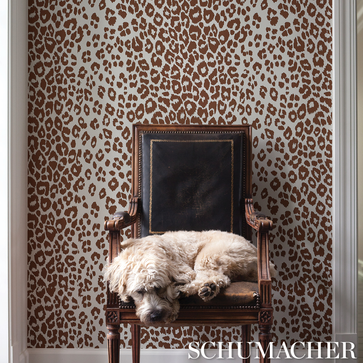 ICONIC LEOPARD gallery 4