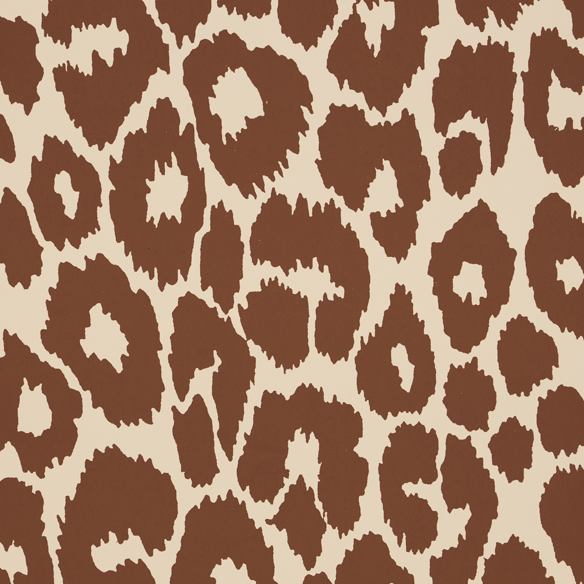 ICONIC LEOPARD gallery 2