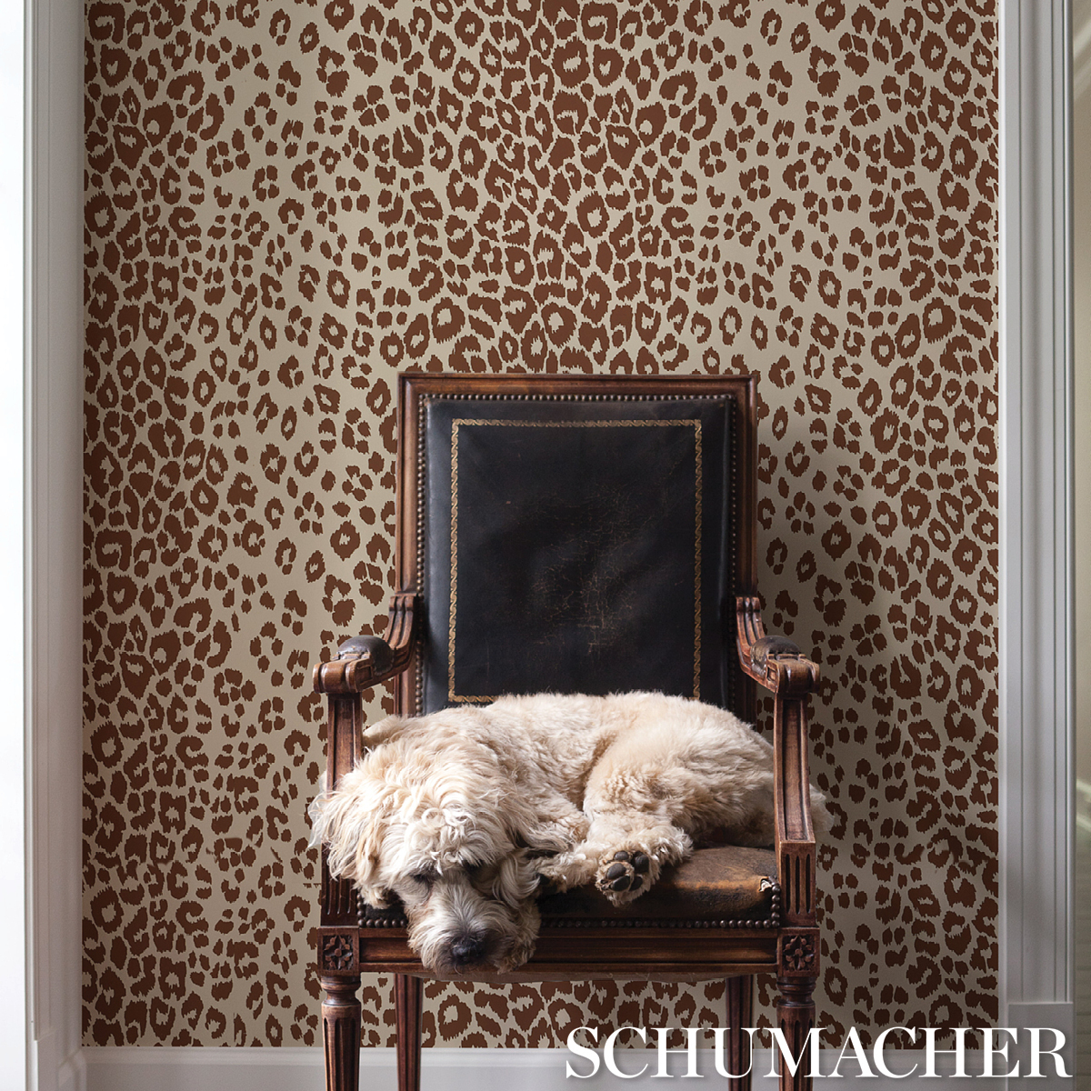 ICONIC LEOPARD gallery 3