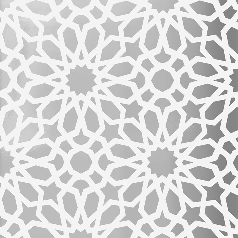 AGADIR SCREEN MYLAR — MOON