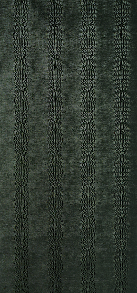 Komodo gallery 1