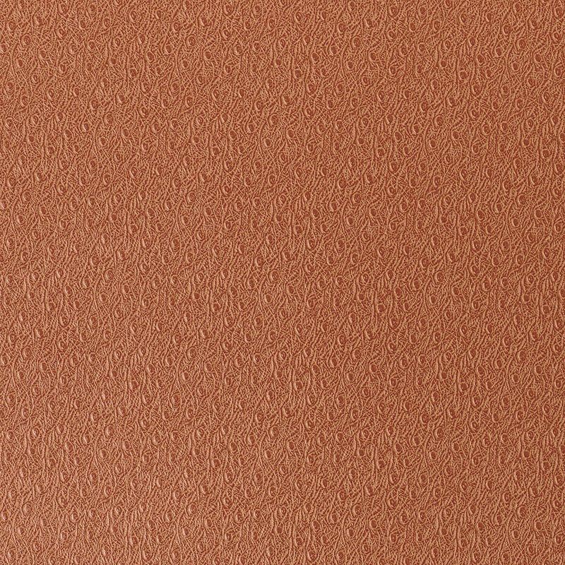 Ostrich — GINGER