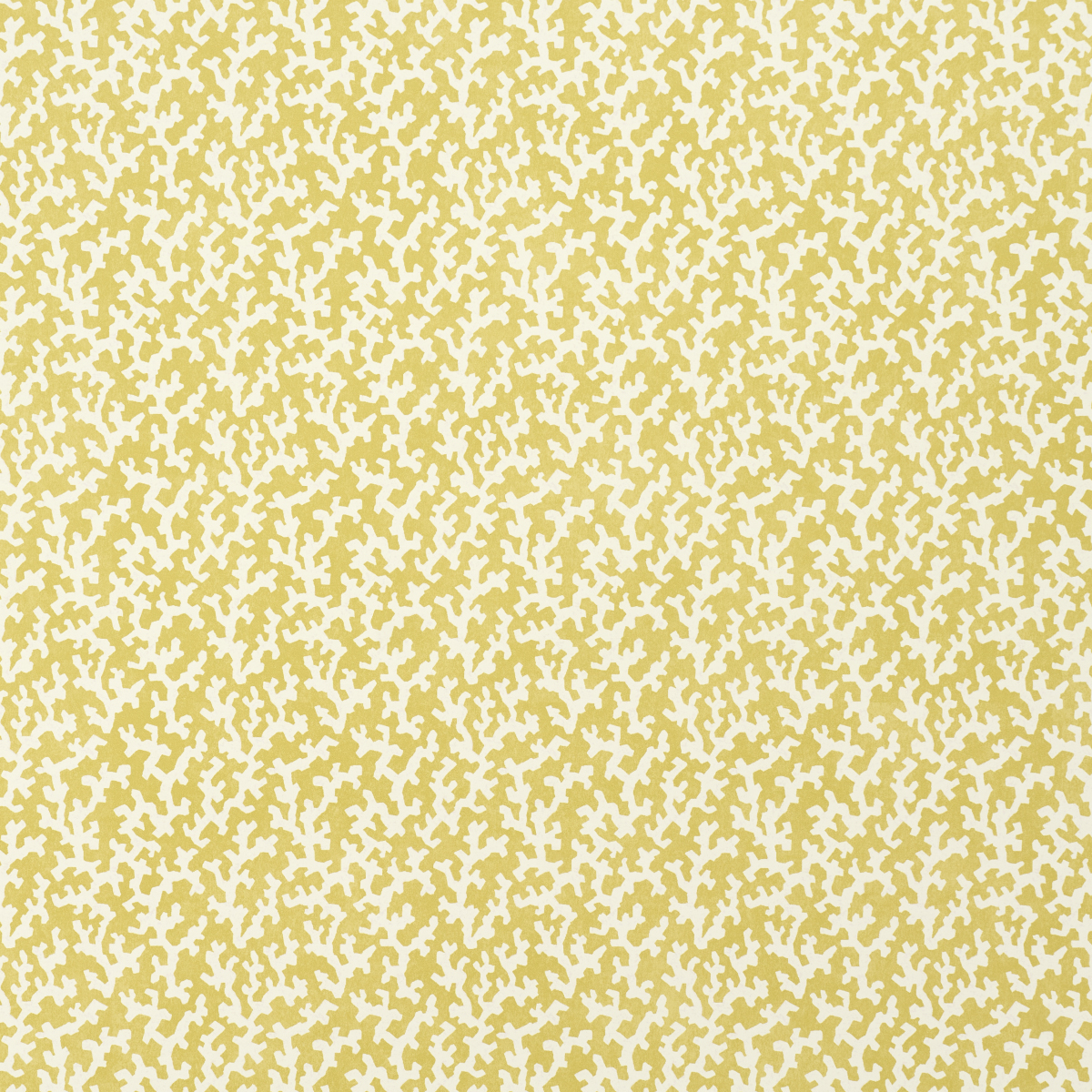 MIMOSA