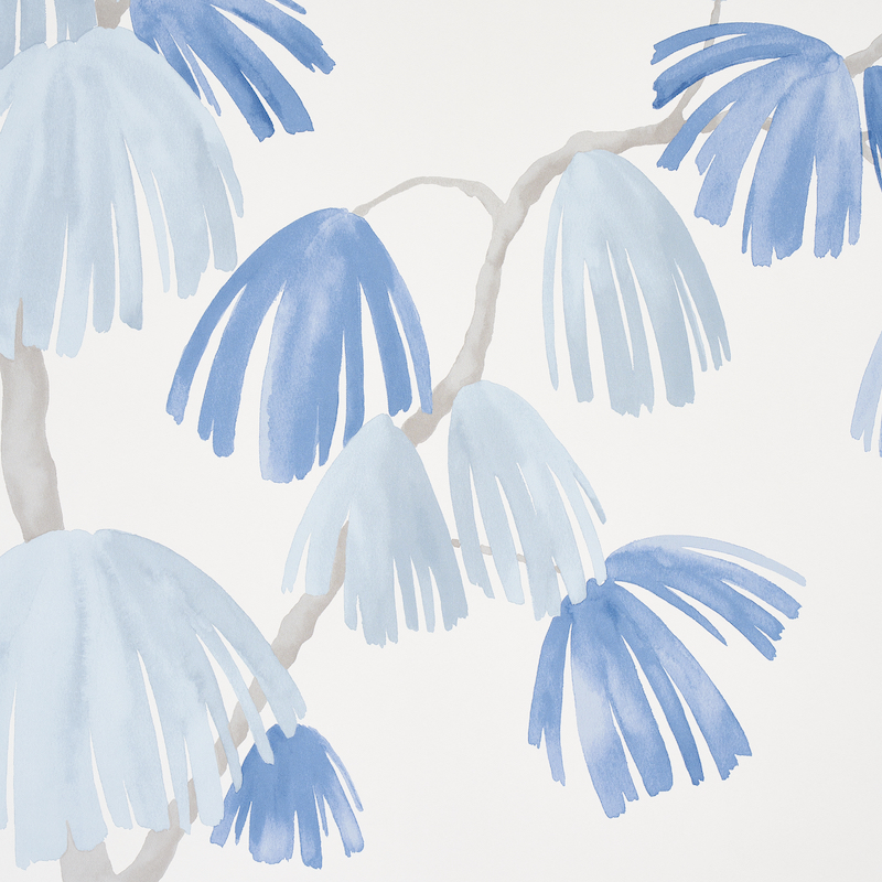 Weeping Pine gallery 2