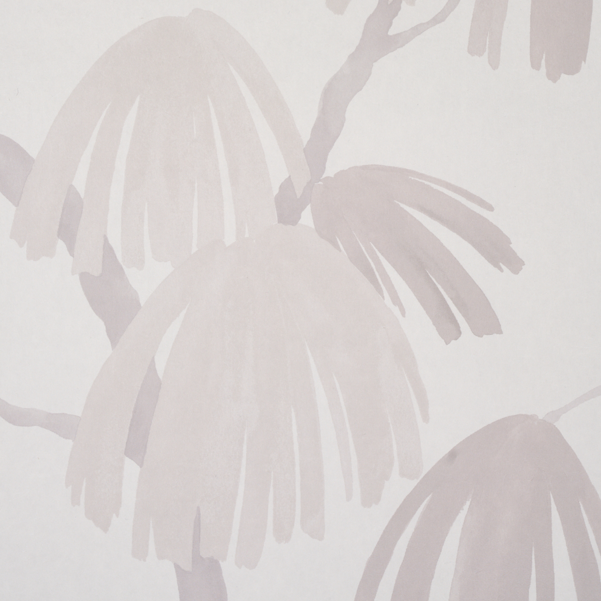 Weeping Pine gallery 2