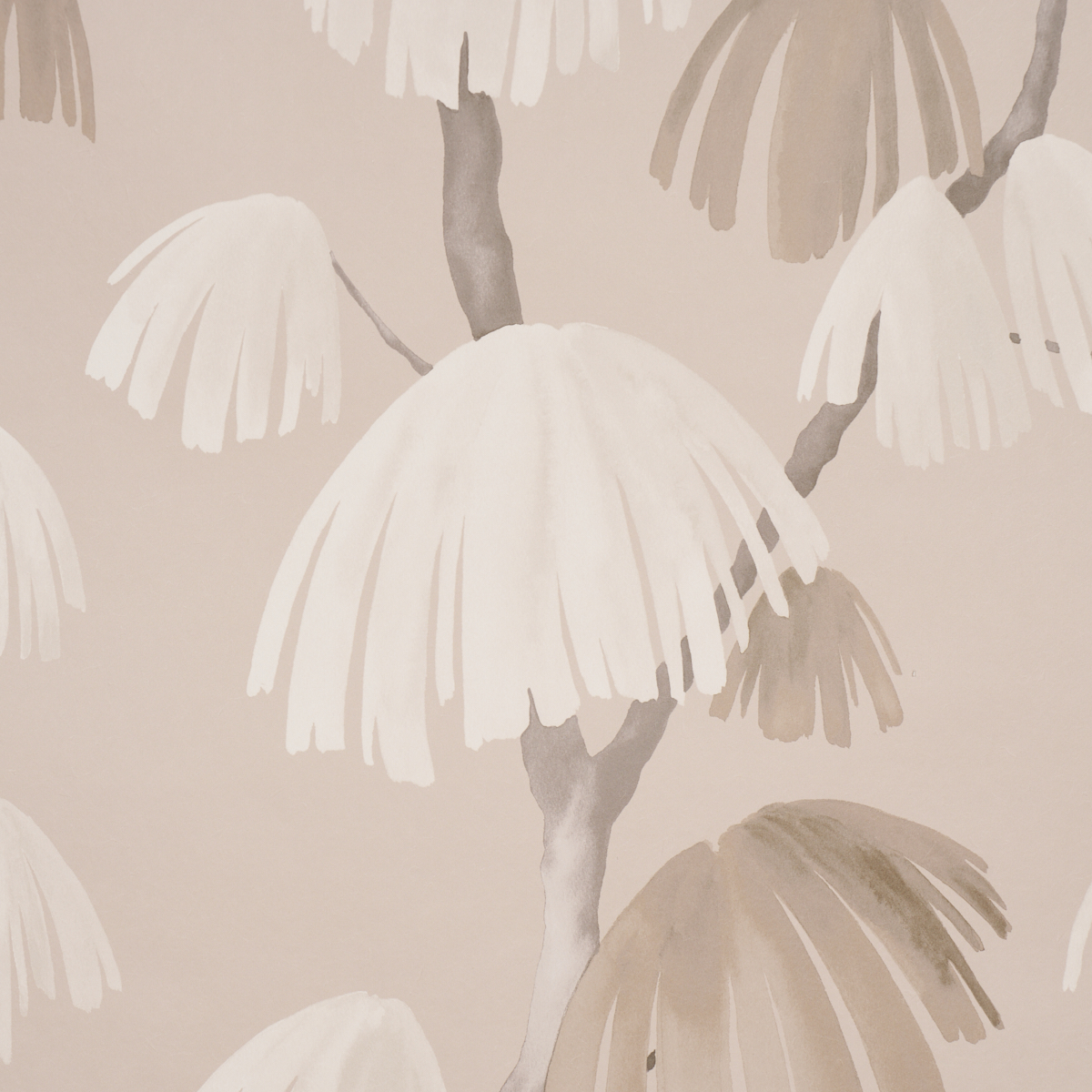 Weeping Pine gallery 2