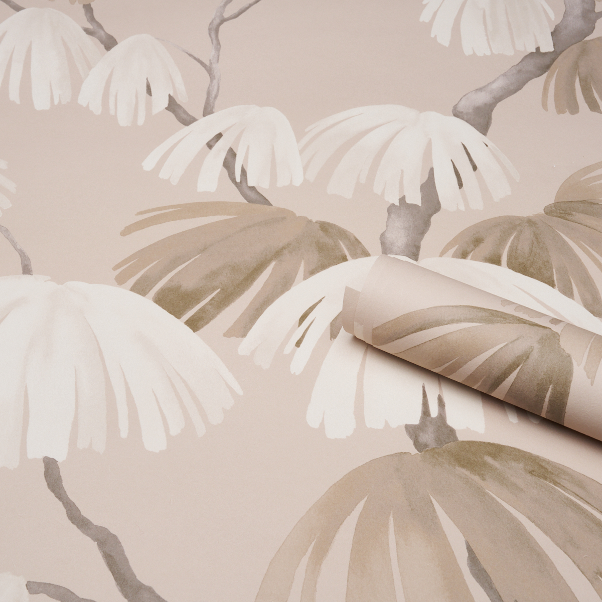 Weeping Pine gallery 3