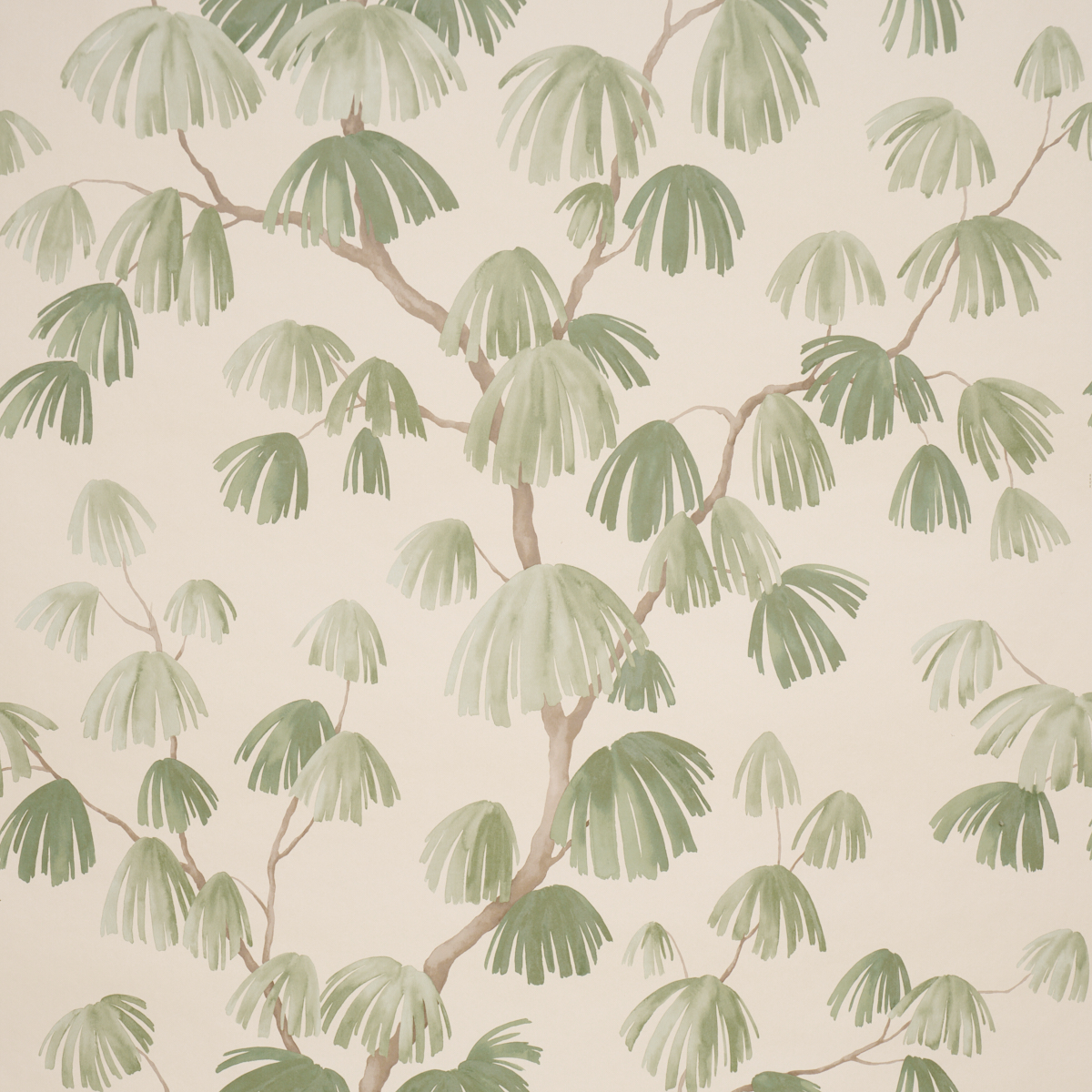 Weeping Pine — GREEN