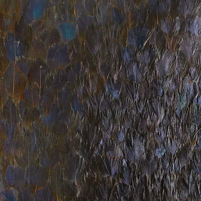 SAPPHIRE — BRONZE VIOLET