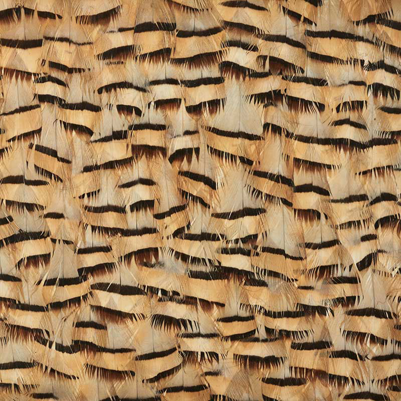 MUSCOVITE — CRACKER KHAKI