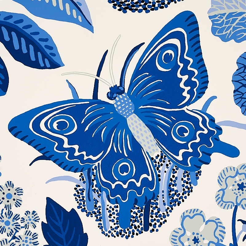 EXOTIC BUTTERFLY gallery 2