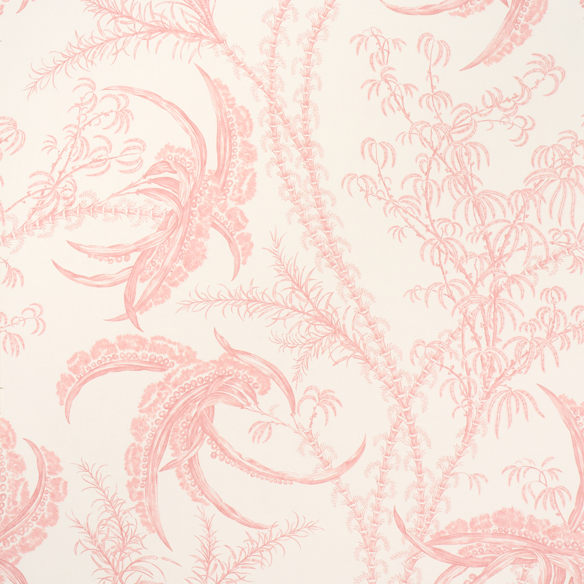 CORAL